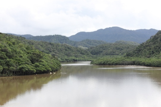 西表島出張ー1.浦内川